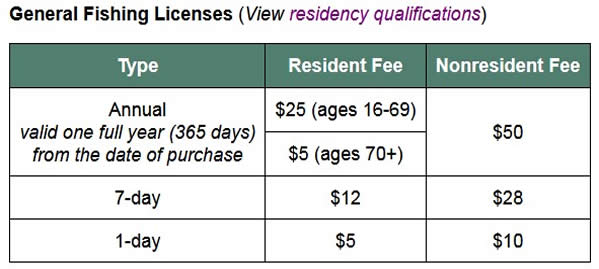 NY Fishing License