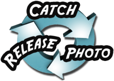 Catch-Photo-Release Bass Fishing